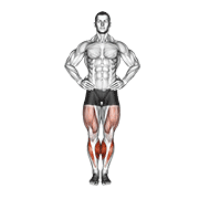 Animated demonstration of the circles knee stretch