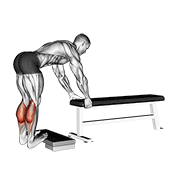 Animated demonstration of the donkey calf raise