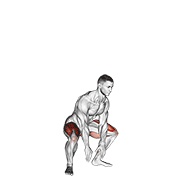 Animated demonstration of the jump squat v. 2