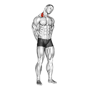 Animated demonstration of the neck side stretch