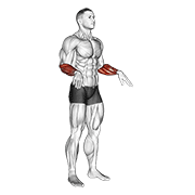 Animated demonstration of the wrist circles
