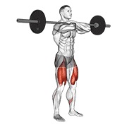 barbell front squat