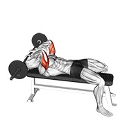 barbell lying triceps extension skull crusher