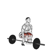 barbell one arm side deadlift