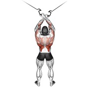 cable cross-over lateral pulldown