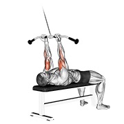 cable lying close-grip curl