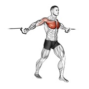 cable middle fly