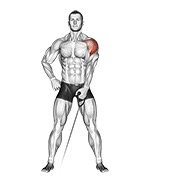 cable one arm lateral raise