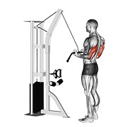cable reverse-grip pushdown