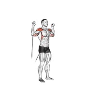cable shoulder press
