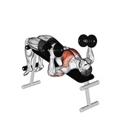dumbbell decline hammer press
