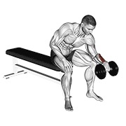 dumbbell one arm reverse wrist curl