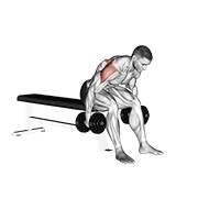 dumbbell rear fly