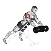 dumbbell rotation reverse fly