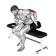 dumbbell seated one arm kickback