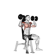 dumbbell seated shoulder press