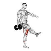 dumbbell single leg squat