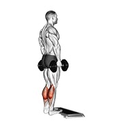 dumbbell standing calf raise