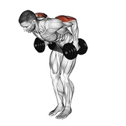 dumbbell standing kickback
