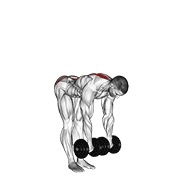 dumbbell straight leg deadlift