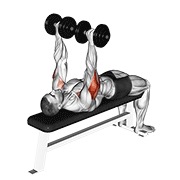 dumbbell tate press