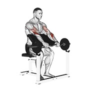 ez barbell reverse grip preacher curl
