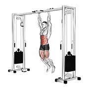 hanging straight leg hip raise