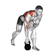 kettlebell one arm row