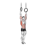 muscle up