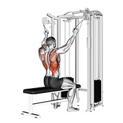 twin handle parallel grip lat pulldown