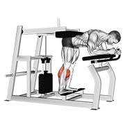 lever donkey calf raise