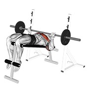 barbell reverse grip decline bench press