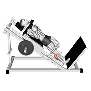 hack one leg calf raise