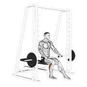 smith seated one leg calf raise