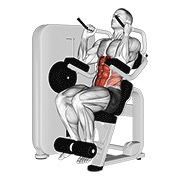 lever seated crunch