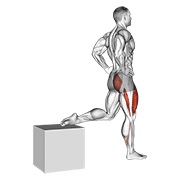 one leg squat