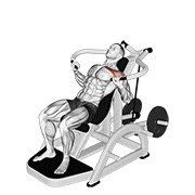 lever incline chest press v. 2