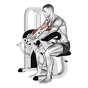 lever reverse grip preacher curl