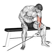 cable seated one arm concentration curl