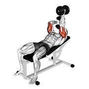 dumbbell lying alternate extension