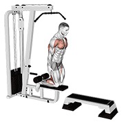 inverse leg curl (on pull-up cable machine)