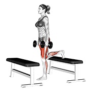 dumbbell step-up lunge