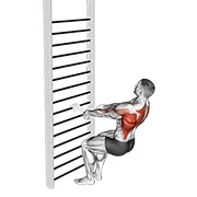 bodyweight squatting row (with towel)