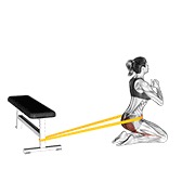 resistance band hip thrusts on knees (female)