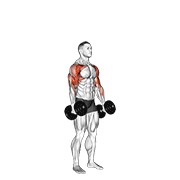 dumbbell standing alternate hammer curl and press