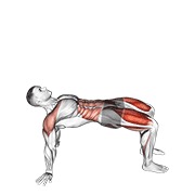 reverse plank with leg lift